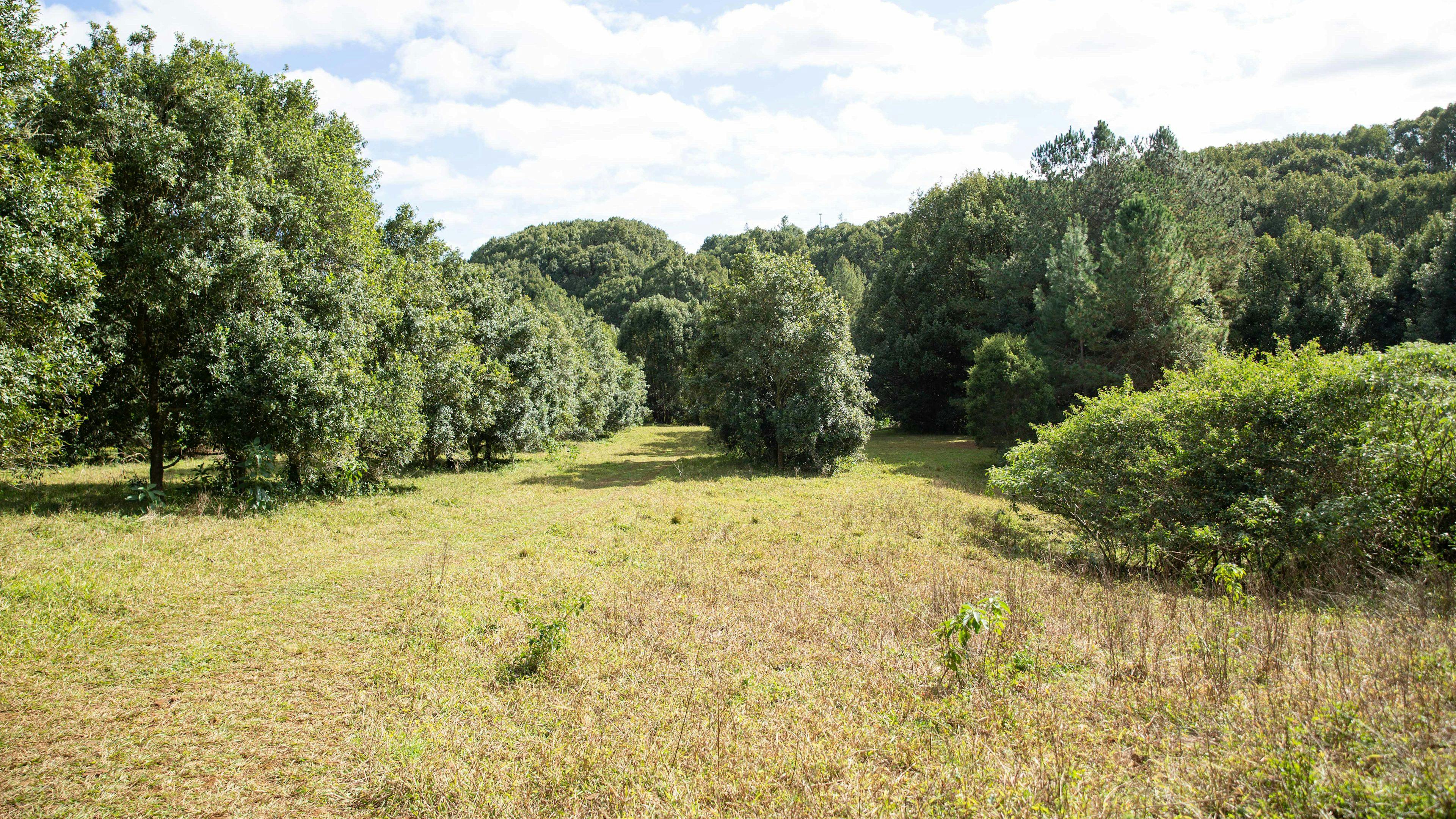 Booyong Farm
