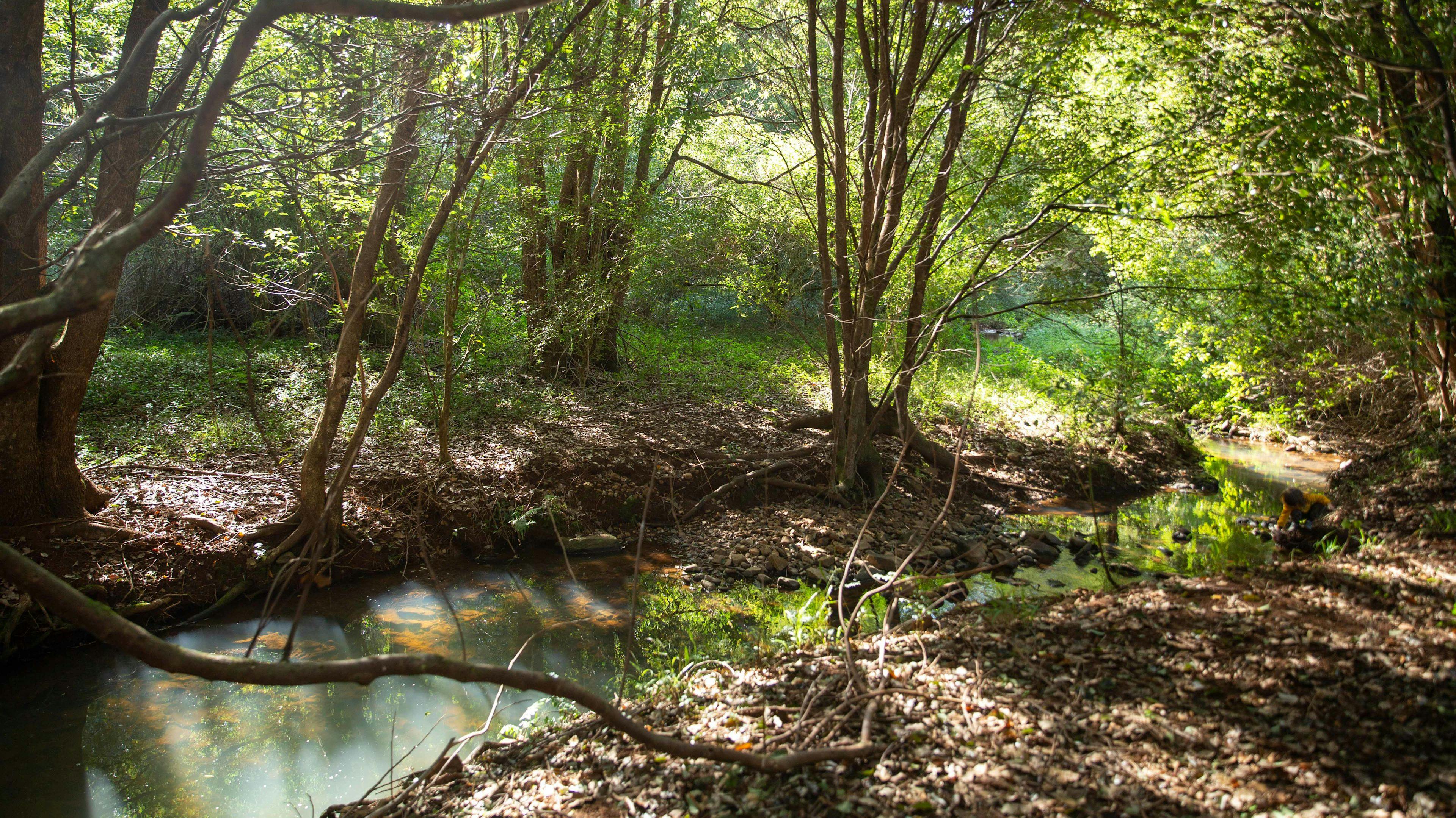 ブヨンファーム