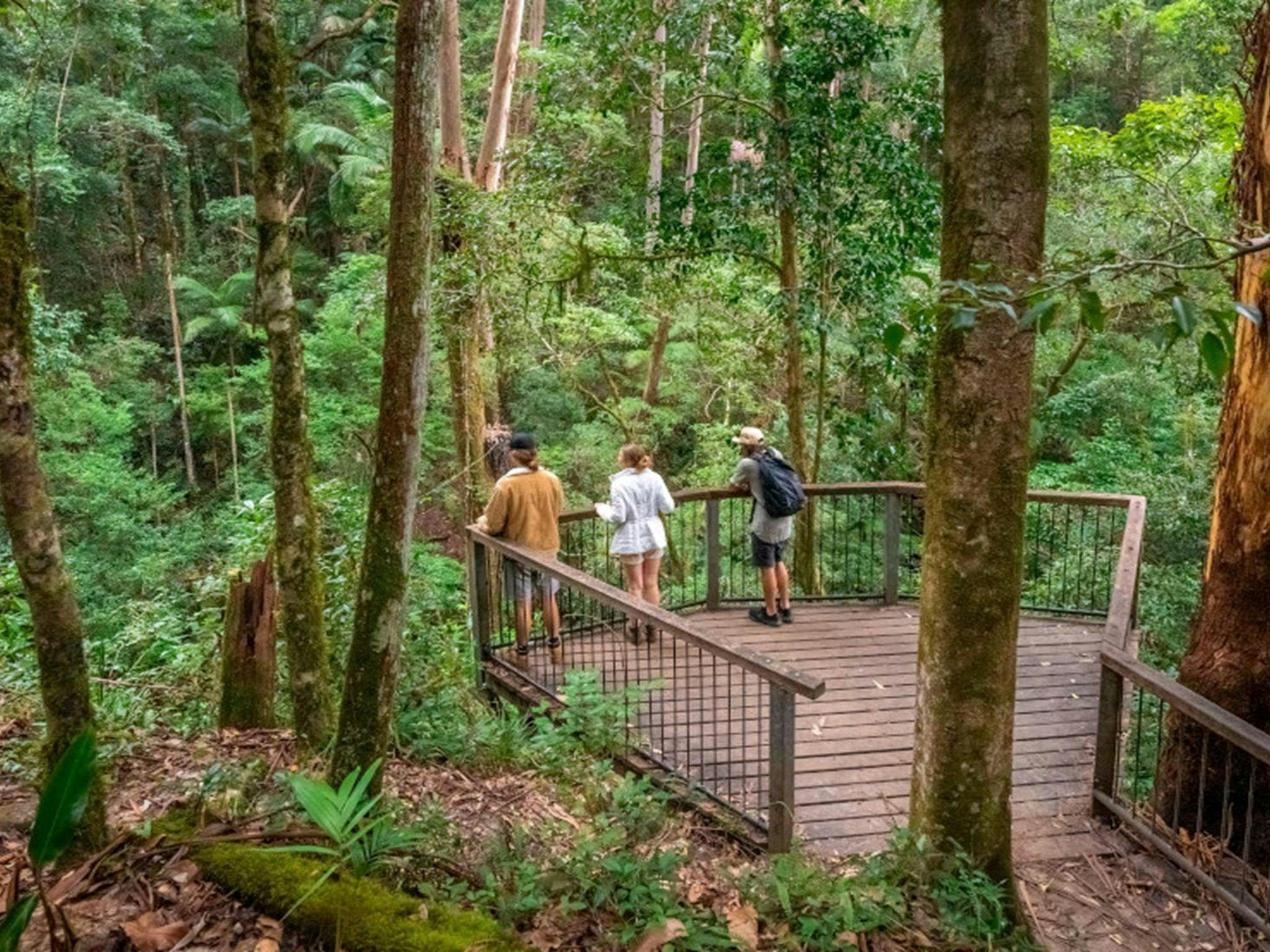 Bushwalkers at a lookout on Palm Forest walking track. Photo credit: John Spencer &copy; DPIE