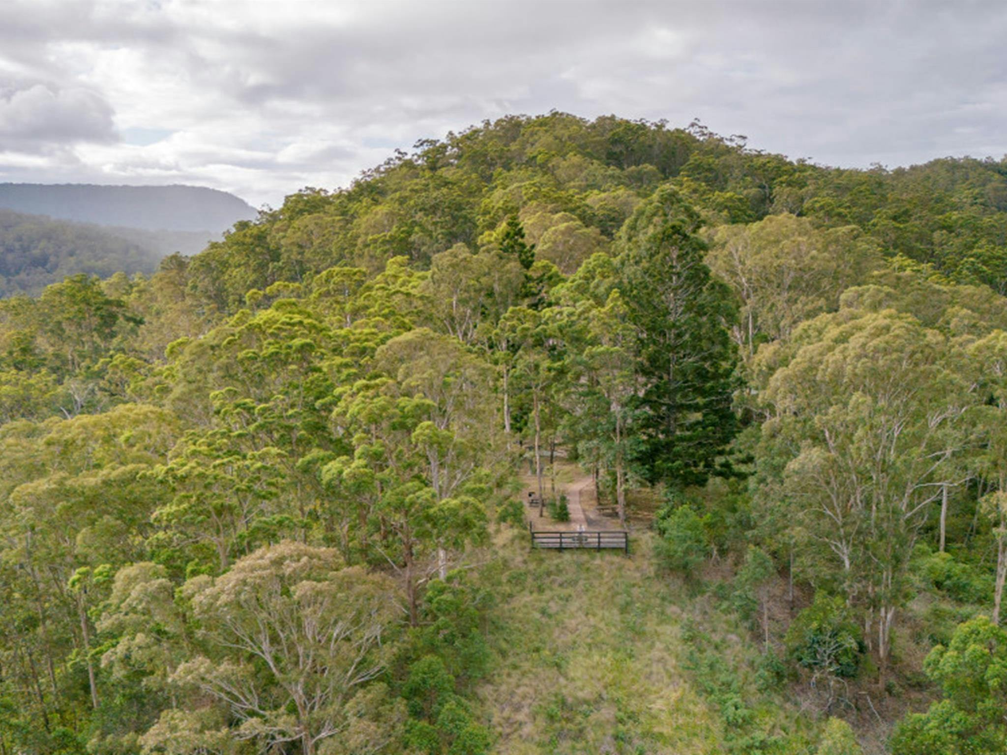 Aussichtspunkt und Picknickplatz Border Loop im Border Ranges Nationalpark. Foto: John Spencer © DPE