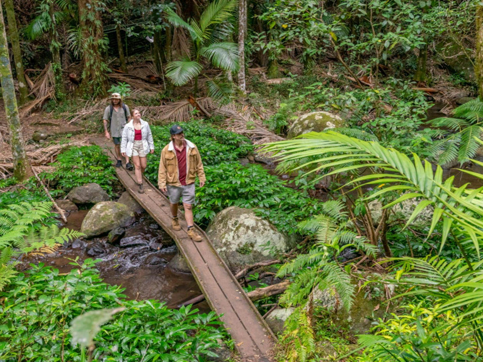Bushwalkers on Palm Forest walking track. Credit: John Spencer &copy; DPE