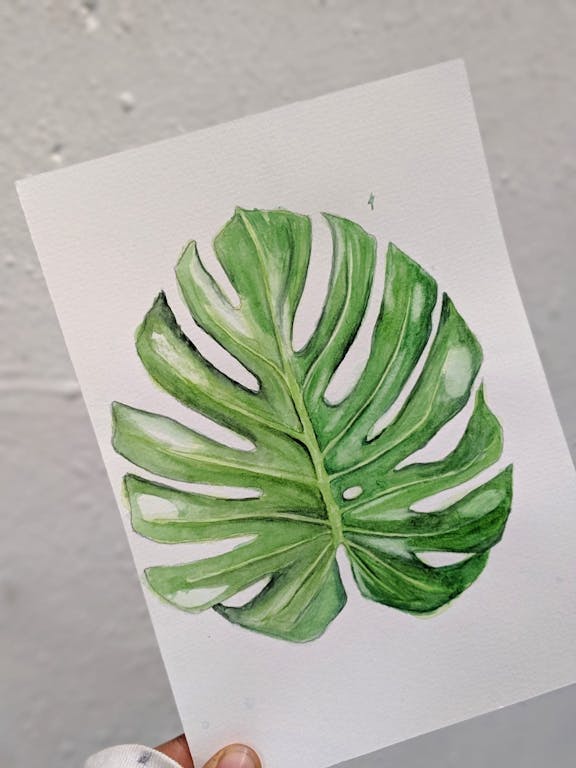 Botanical Illustration Class