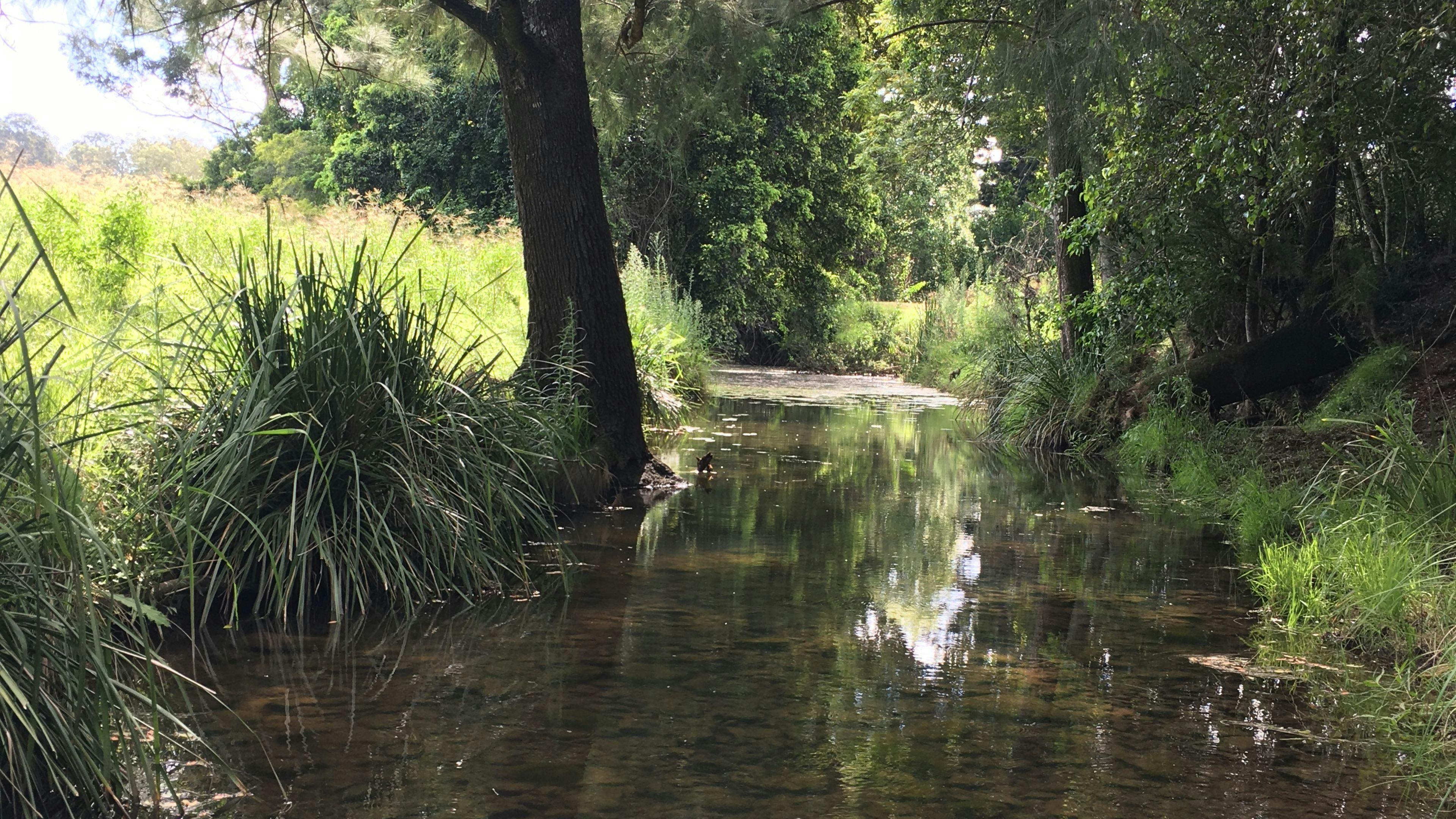溪流深處