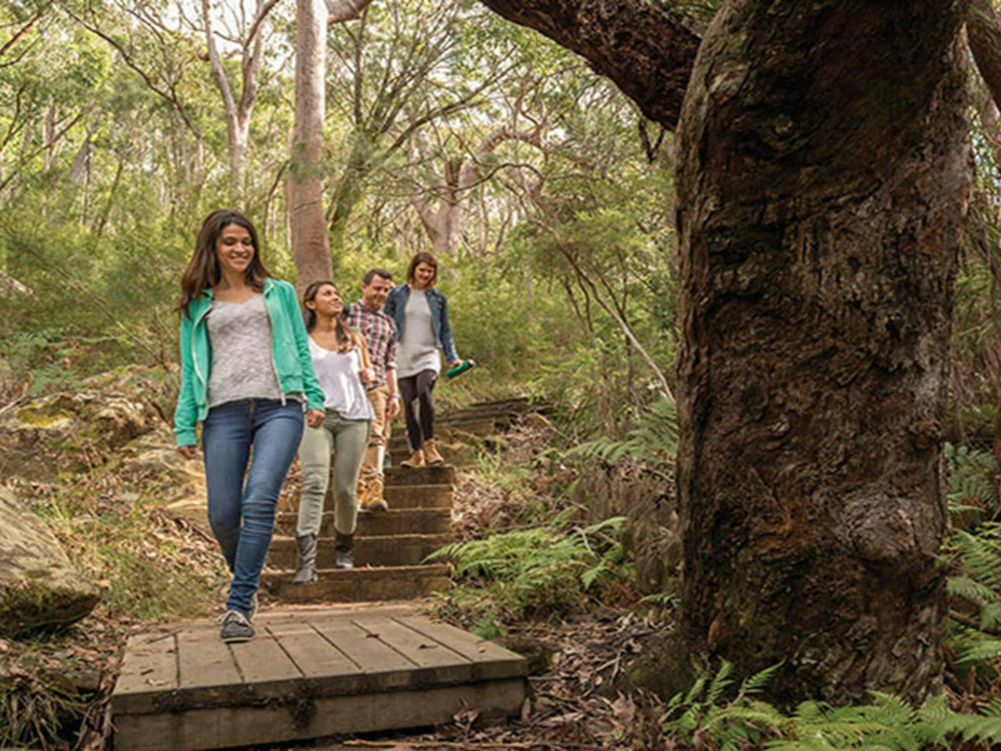 Group of friends walking on Bullimah Spur track. Photo credit: John Spencer. <HTML>&copy; DPIE