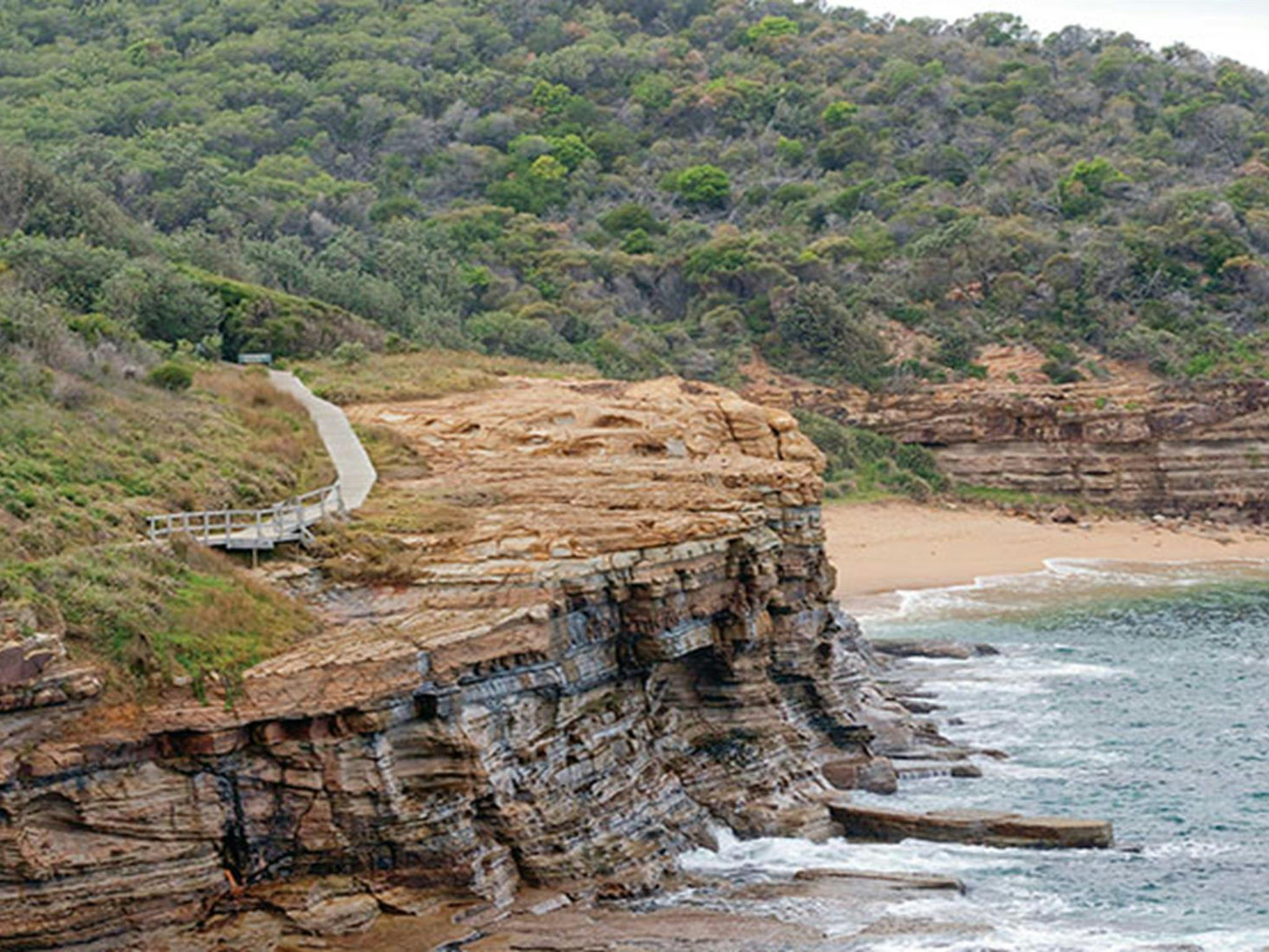 Coastal cliffs on the Bouddi Coastal walk in Bouddi National Park. Photo credit: Nick Cubbin.
