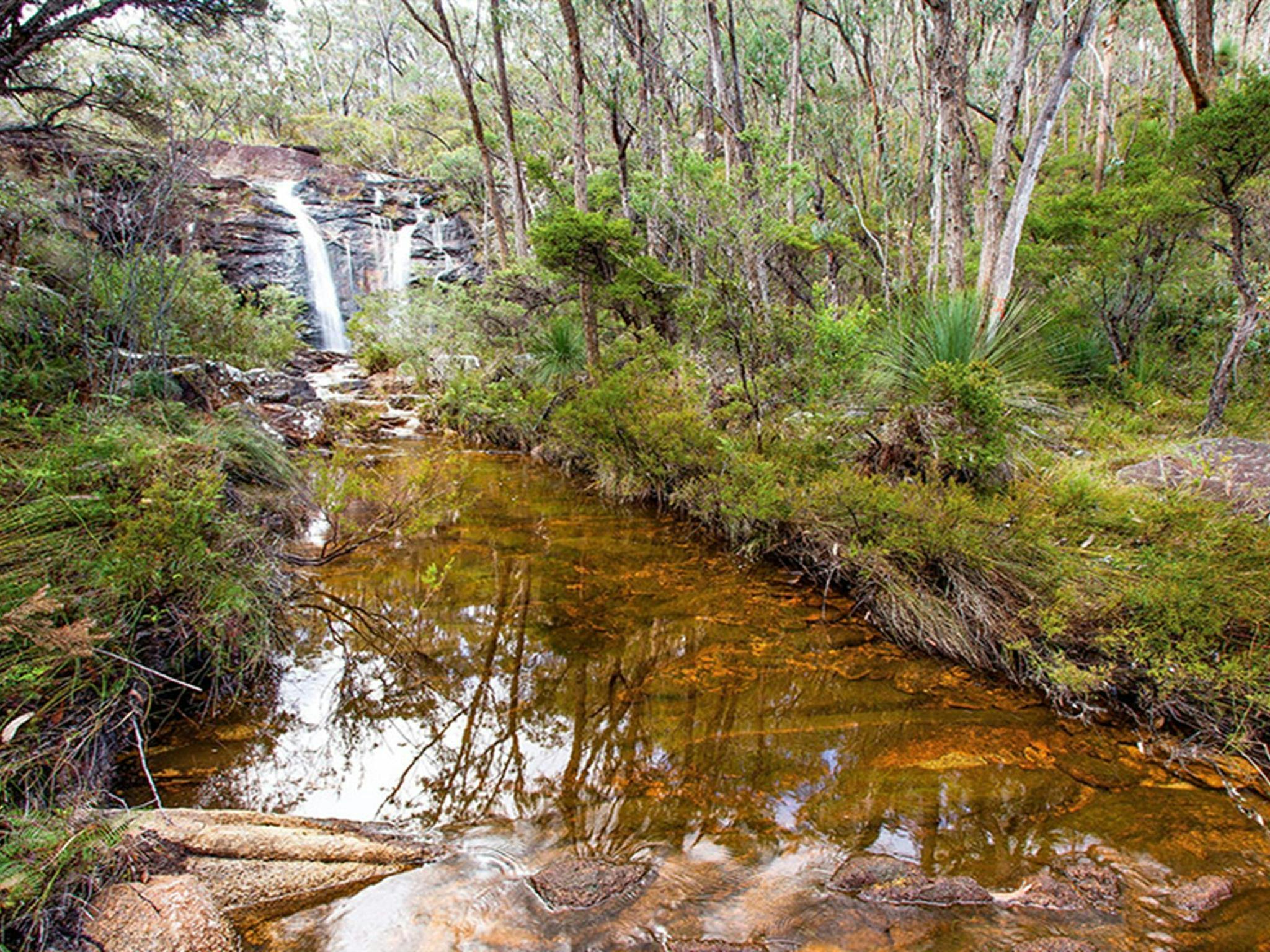 Duffer Creek und Boundary Falls im Hintergrund. Foto: Robert Cleary © DCCEEW