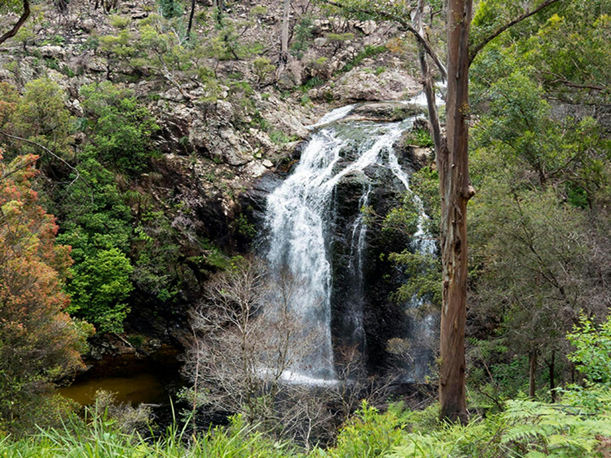 Boundary Falls Wasserfall. Foto: Leah Pippos © DCCEEW