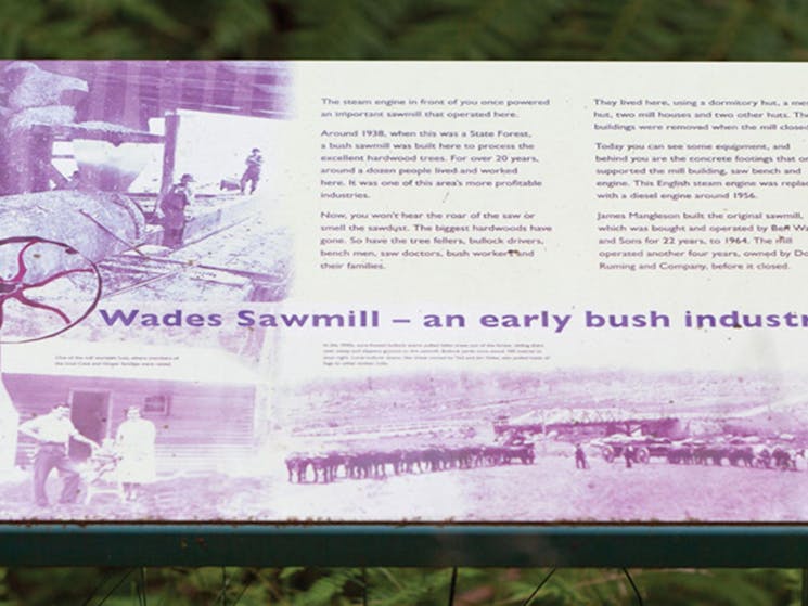 An information sign at Boundary Falls campground and picnic area, Gibraltar Range National Park.