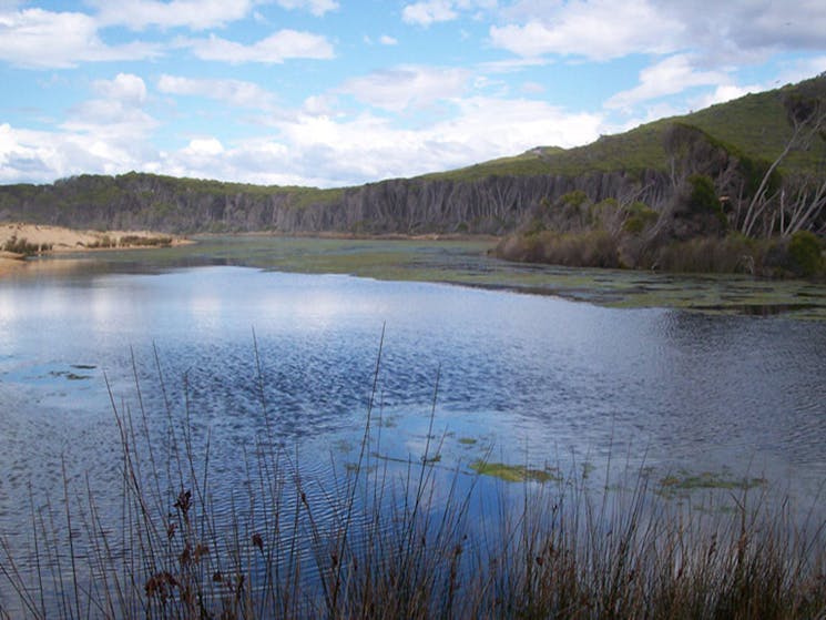 Bournda Lagoon, Bournda National Park. Photo: BECC/NSW Government