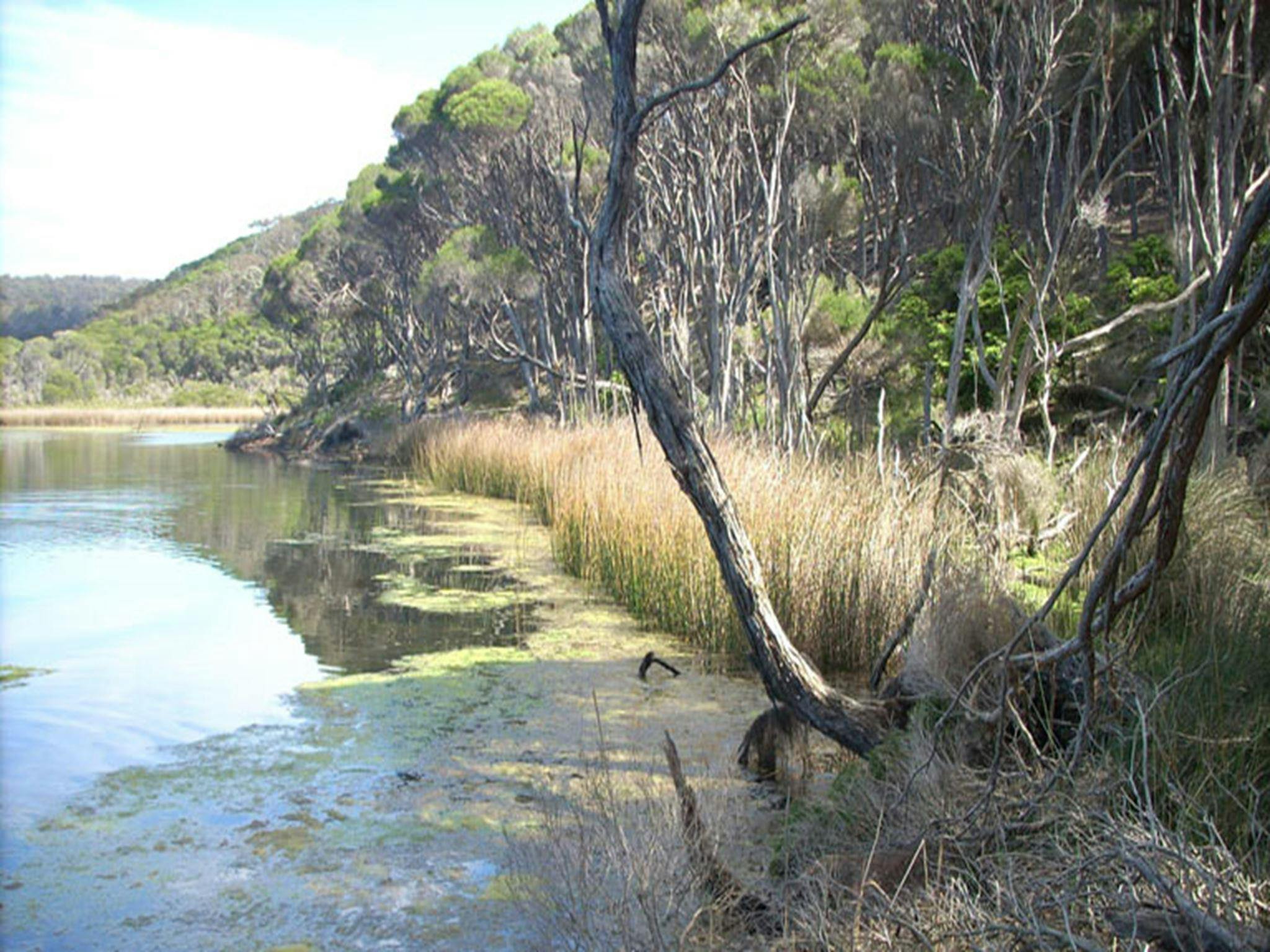 Bournda ラグーン、Bournda 国立公園。写真：BECC/NSW州政府