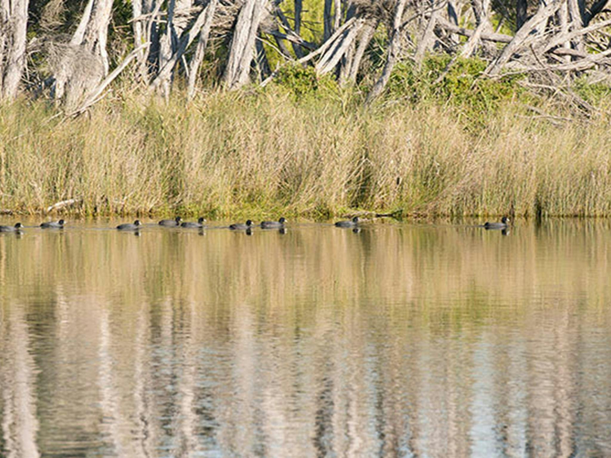 Bournda Lagoon, Bournda National Park. Photo: John Spencer