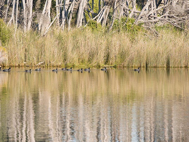 Bournda Lagoon, Bournda National Park. Photo: John Spencer