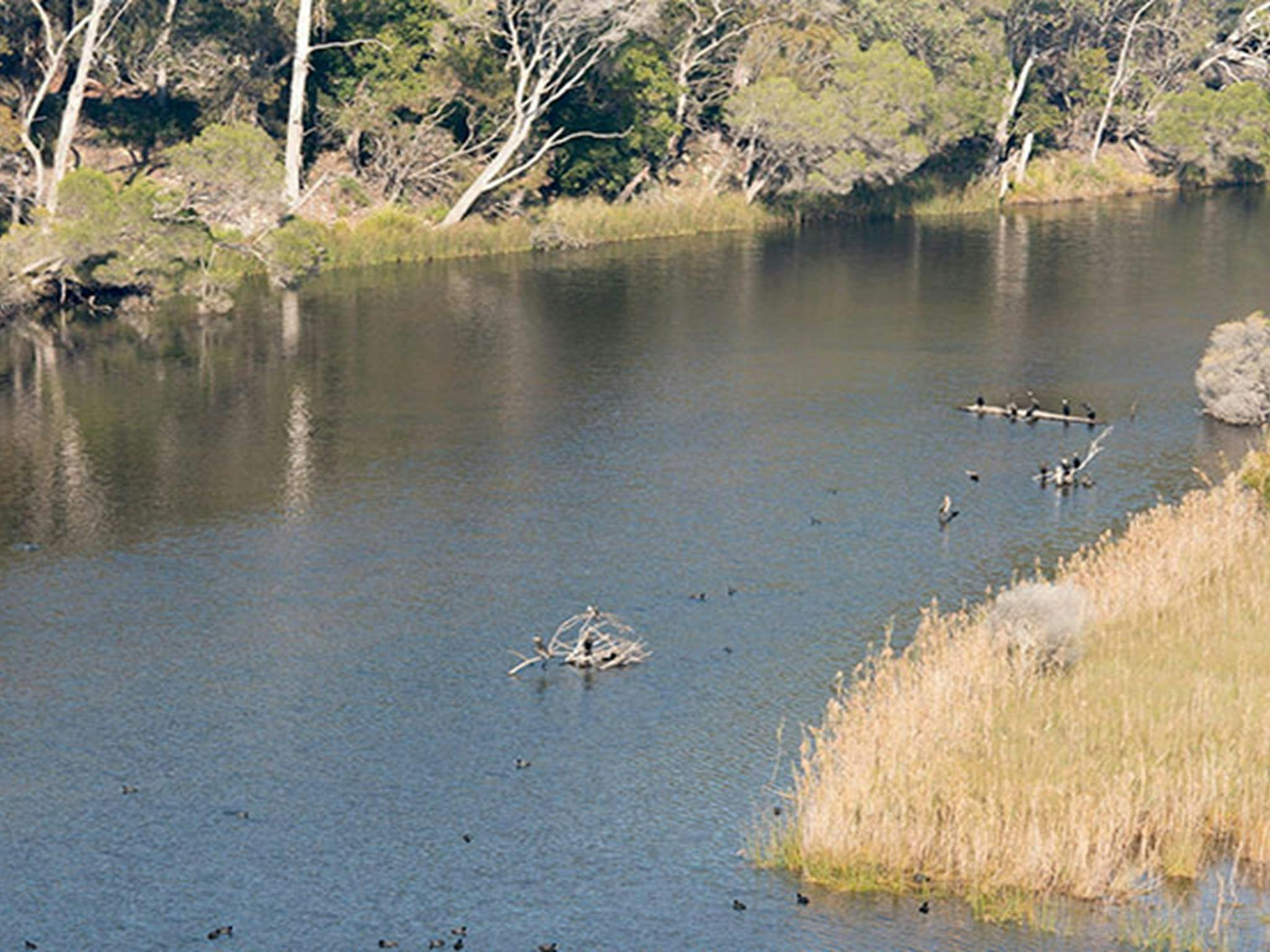 Bournda Lagoon, Bournda National Park. Photo: John Spencer