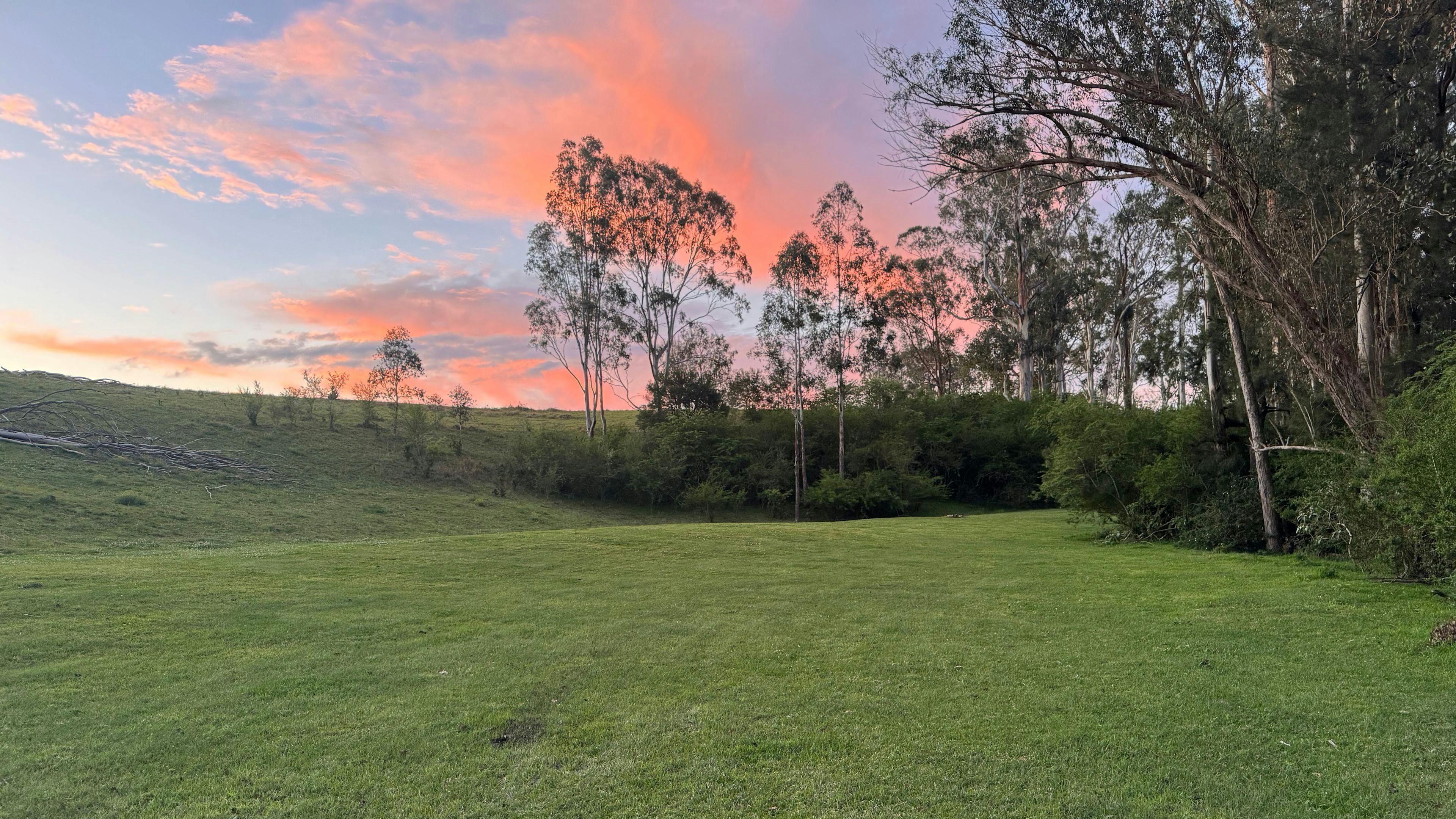 Bowrunga