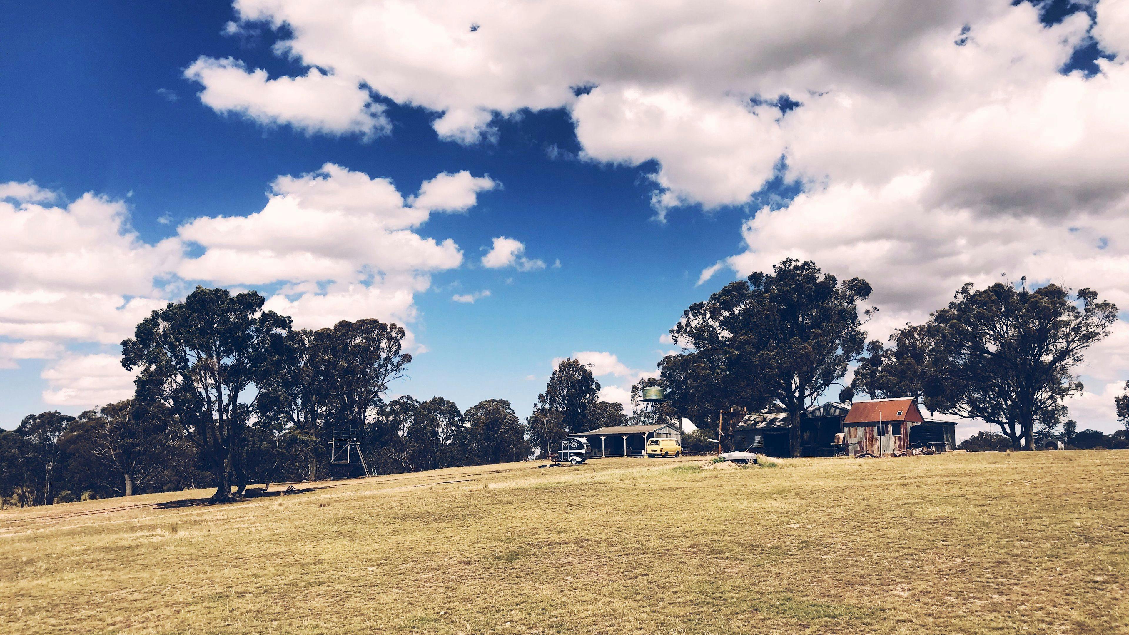 trees around Hoo Hall