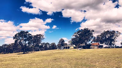 trees around Hoo Hall