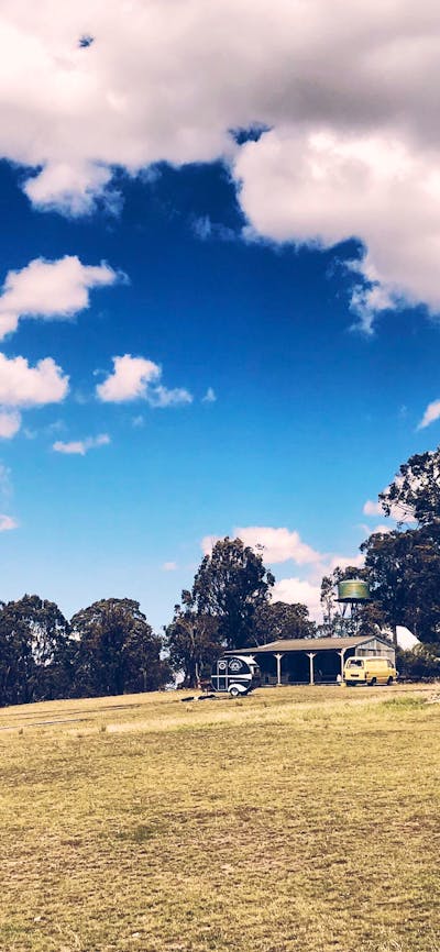 trees around Hoo Hall
