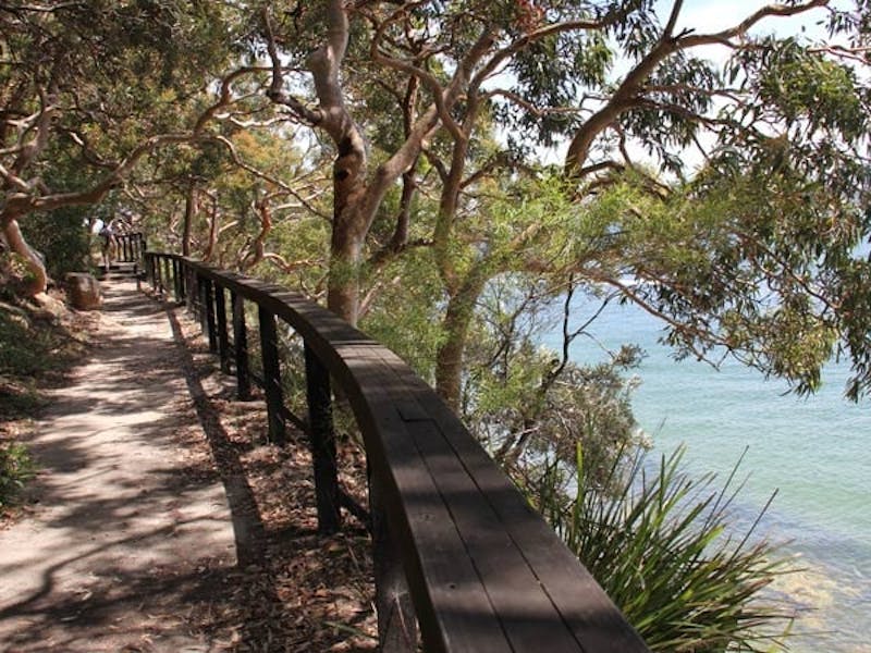Bradleys Head to Chowder Bay walk Mosman Attraction