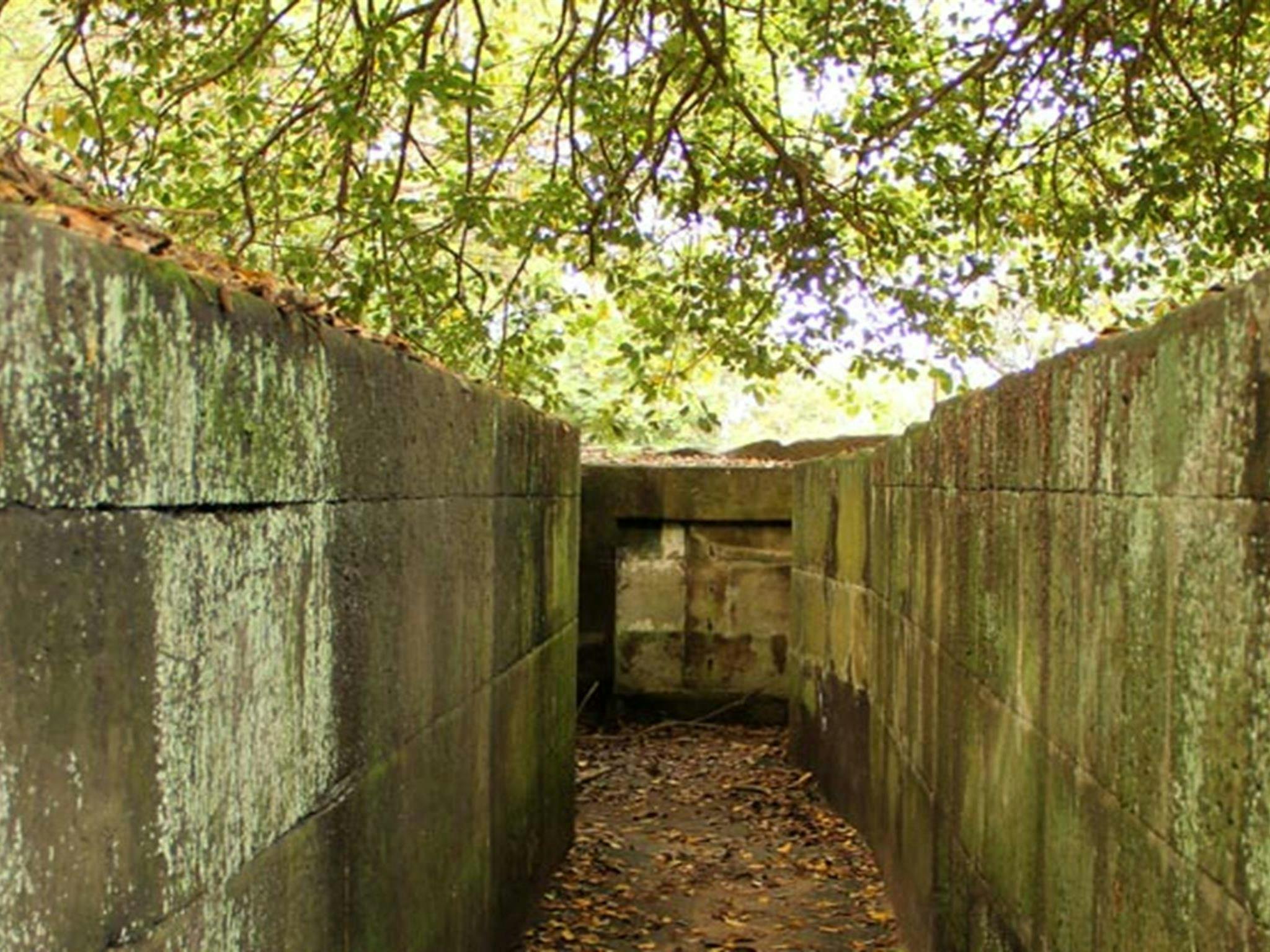 布拉德利頭軍事遺跡。照片：John Yurasek &copy;外在環境健康