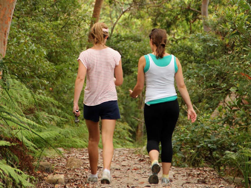 Bradleys Head to Chowder Bay walk Mosman Attraction
