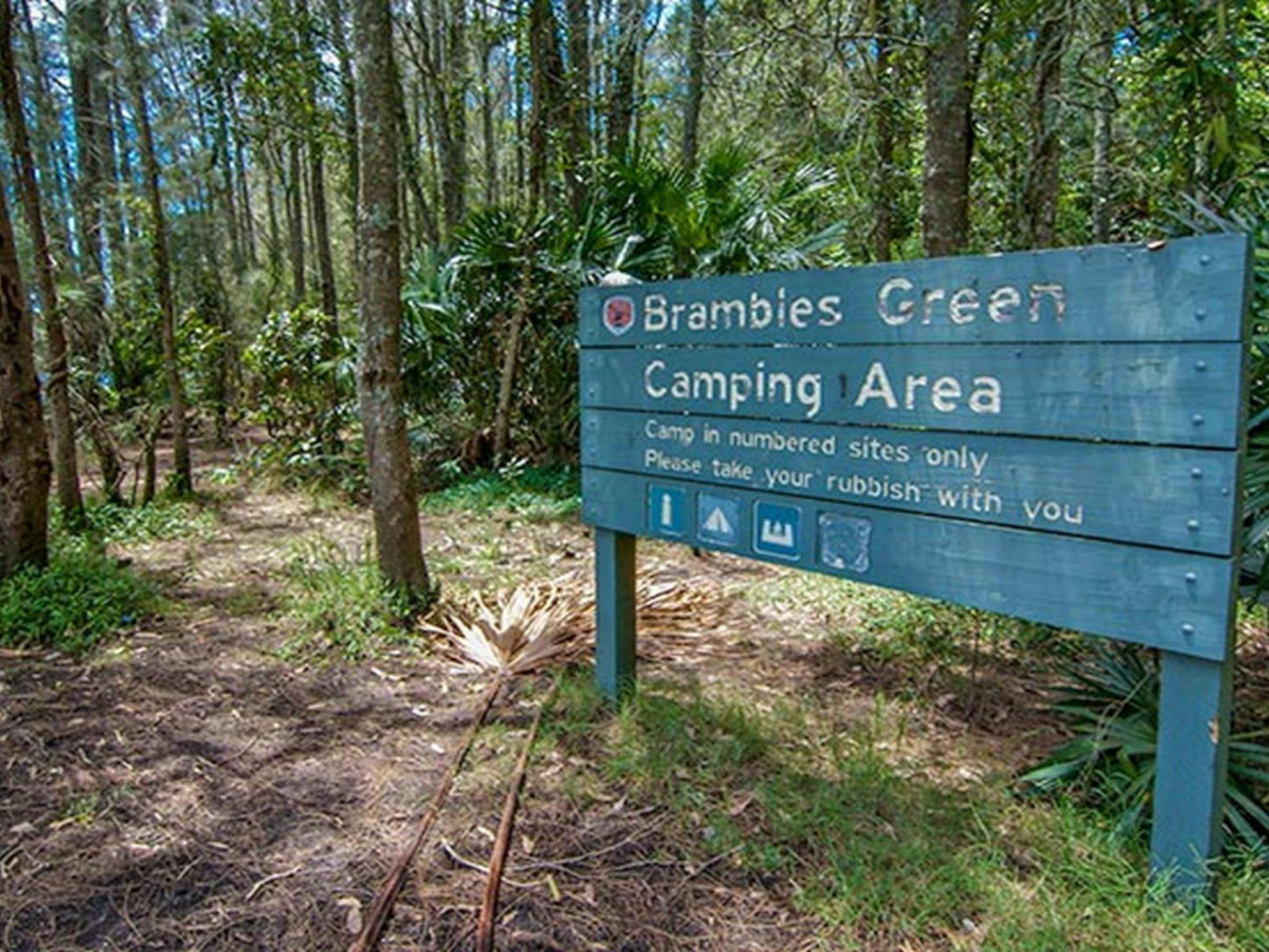 Brambles Green Campground, Myall Lakes National Park. 사진: John Spencer/DPIE