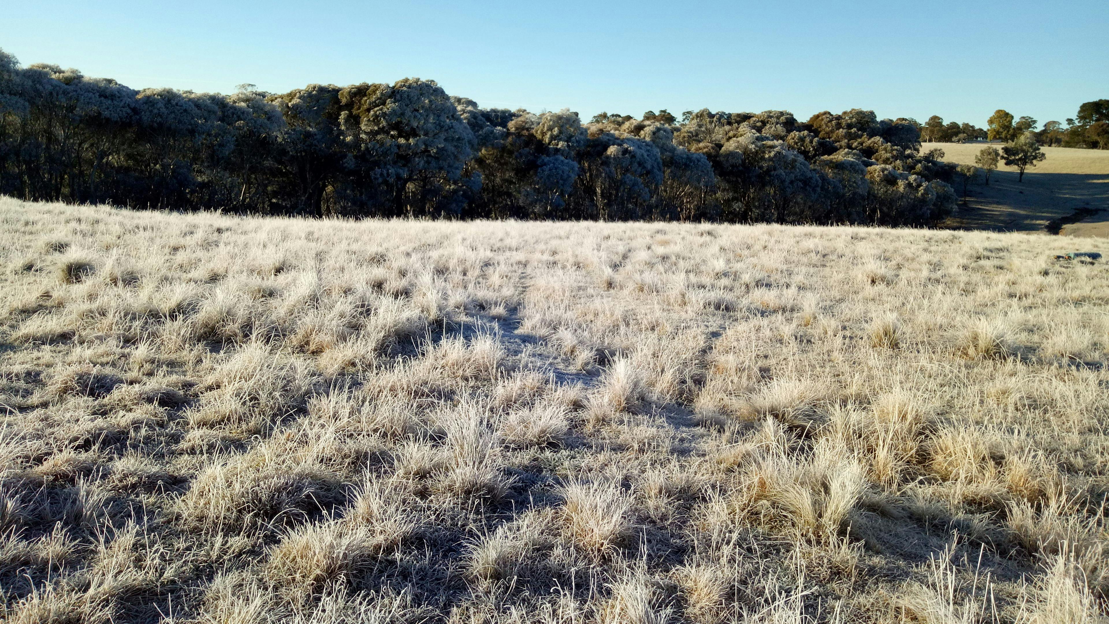 A frosty start to the day