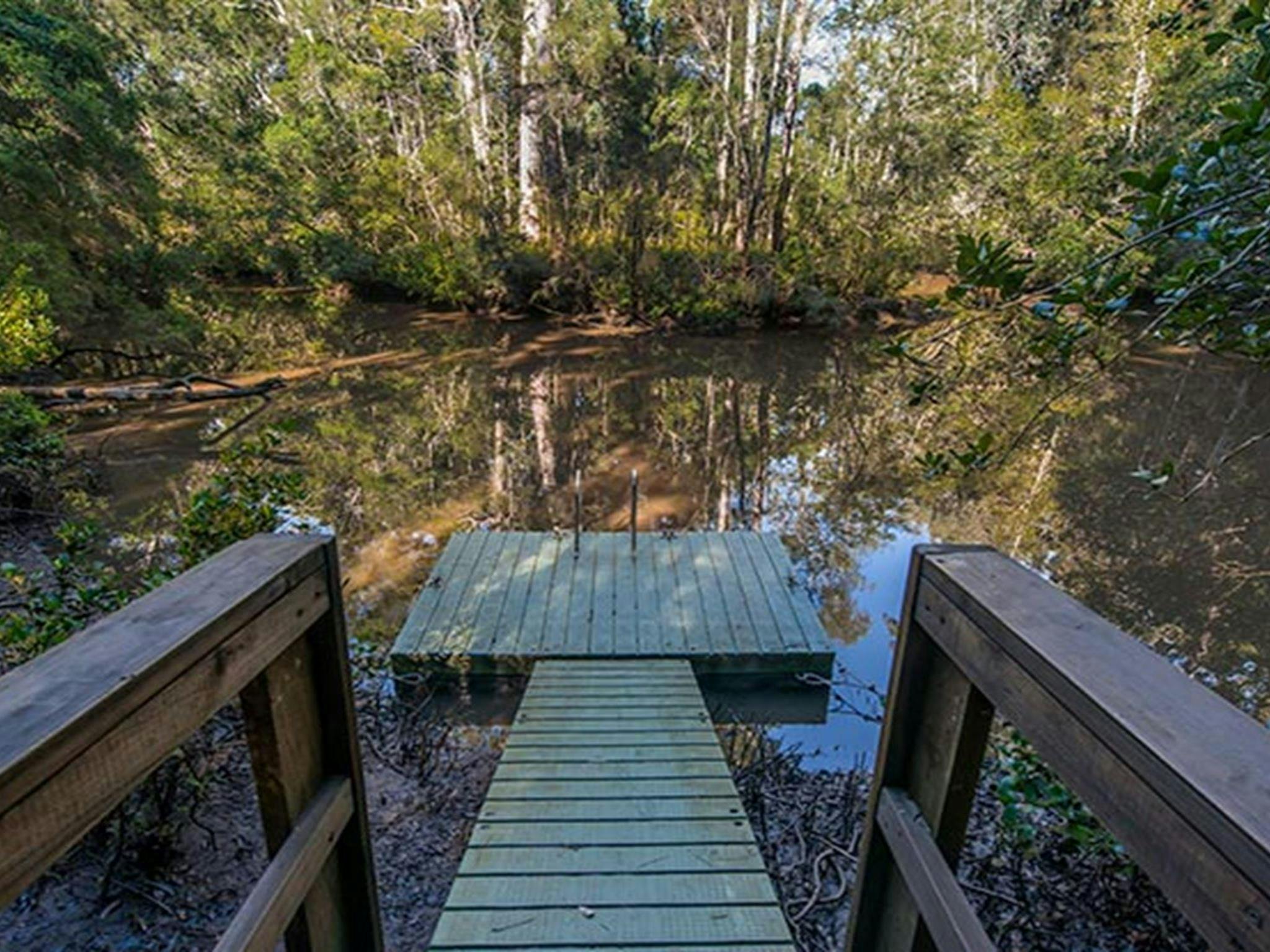 Brimbin picnic area, Brimbin Nature Reserve. Photo: John Spencer