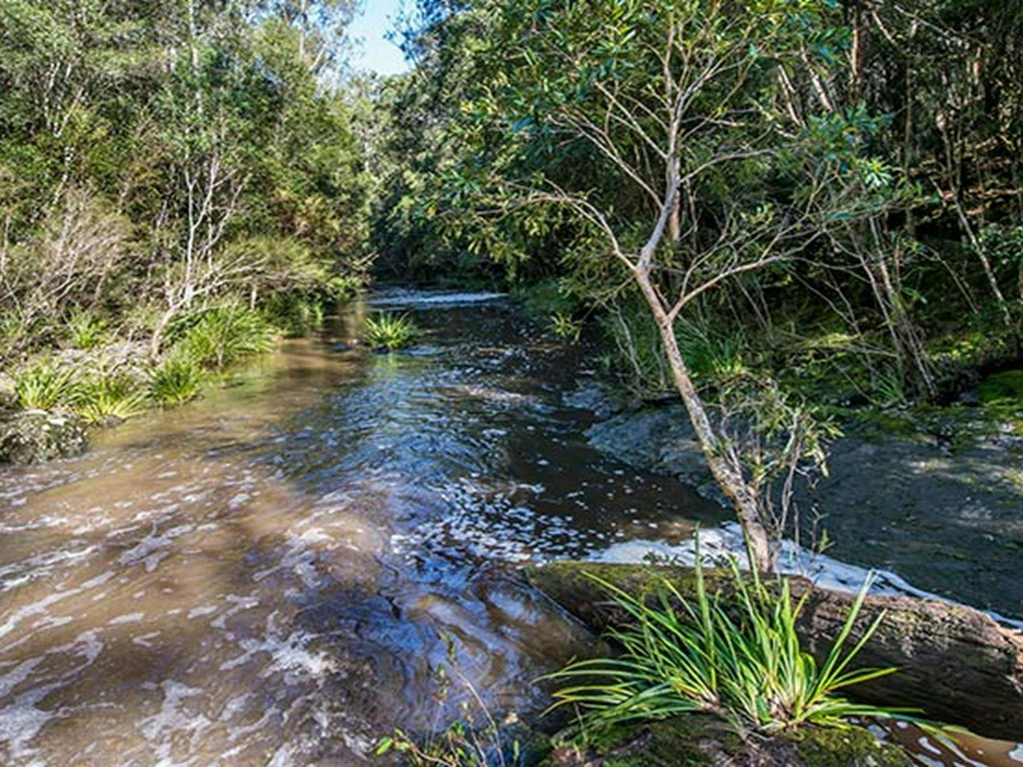 Brimbin picnic area, Brimbin Nature Reserve. Photo: John Spencer