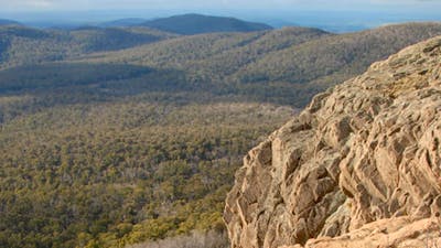 Brindabella National Park. Photo: NSW Government