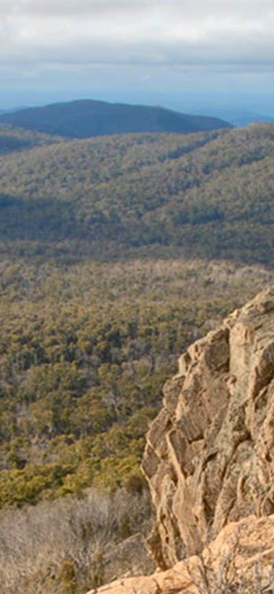 Brindabella National Park. Photo: NSW Government