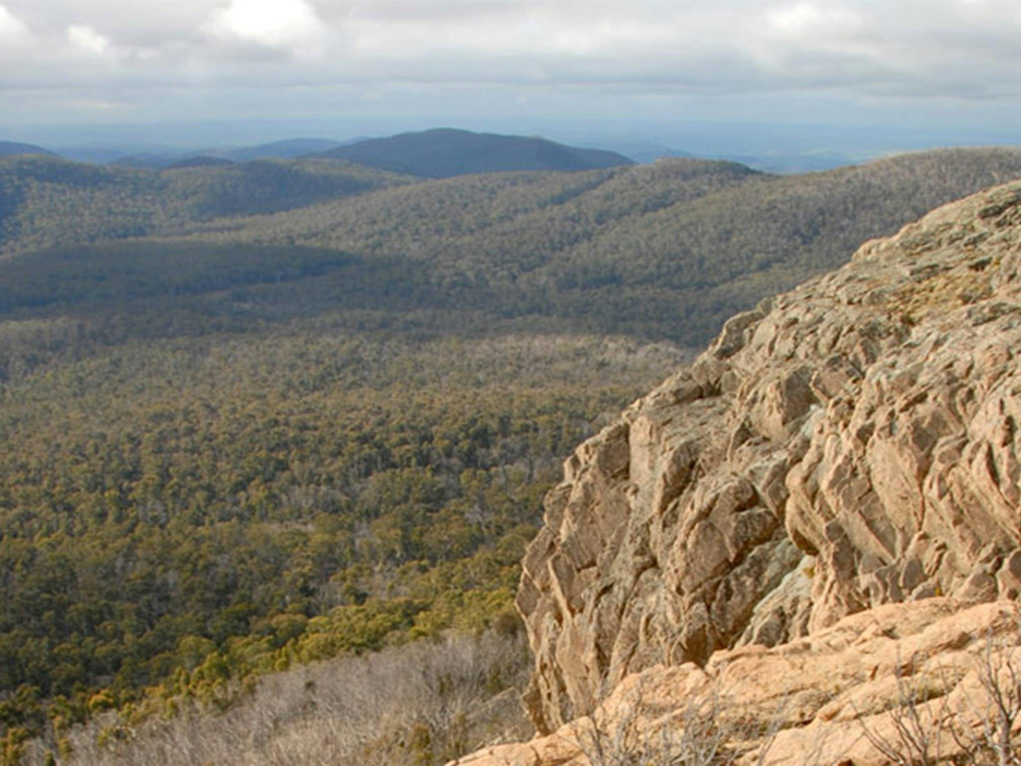 Brindabella National Park. Photo: NSW Government