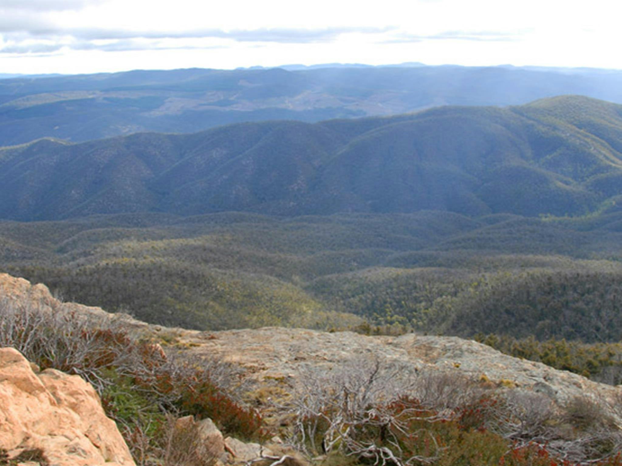 Brindabella National Park. Photo: NSW Government
