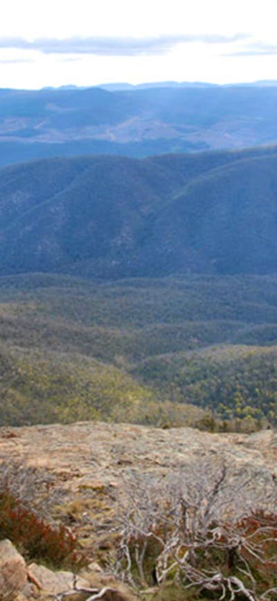 Brindabella National Park. Photo: NSW Government
