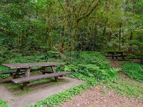 Brindle Creek picnic area