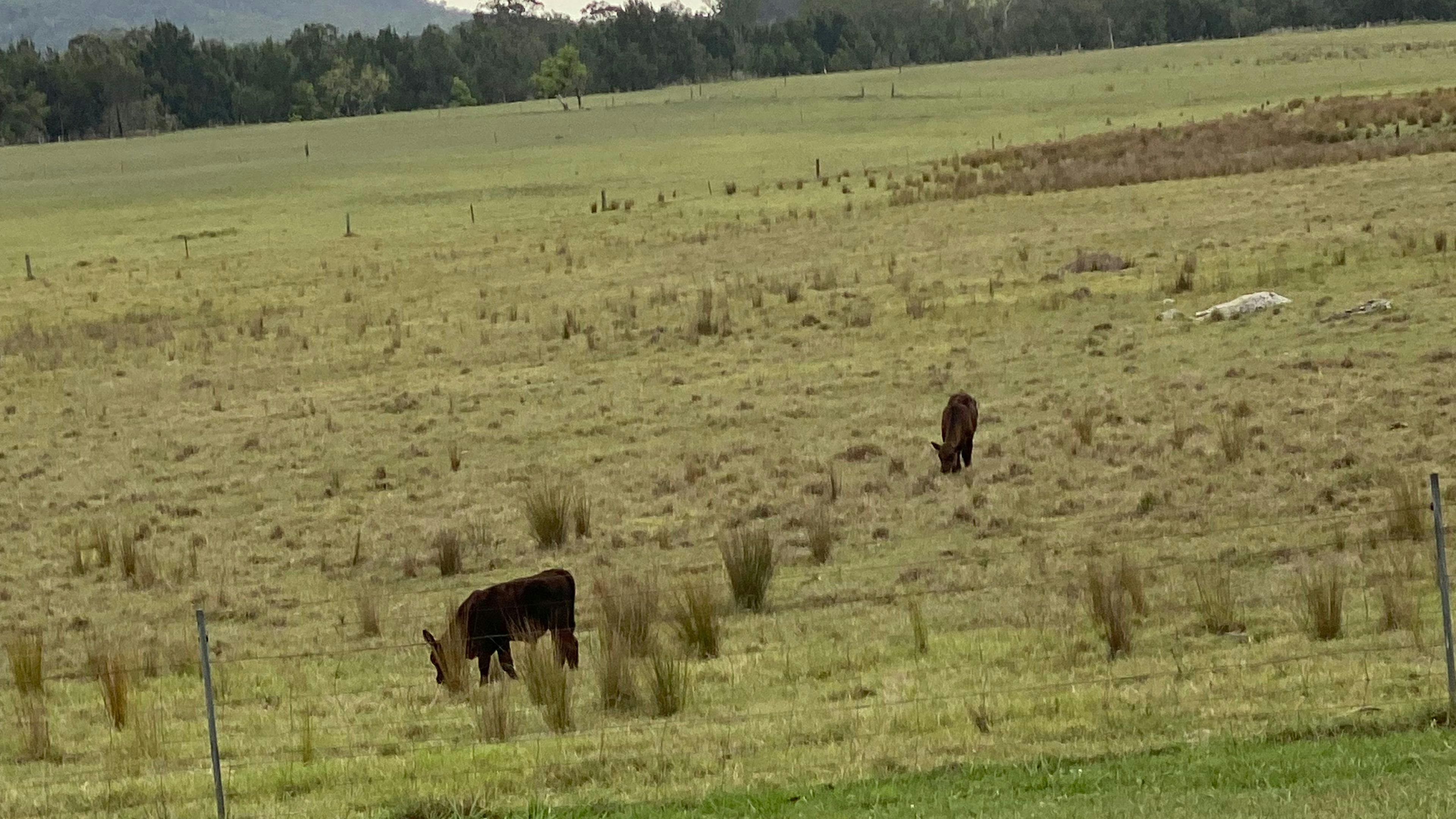 Broke (Antrim) Cabins And Camping