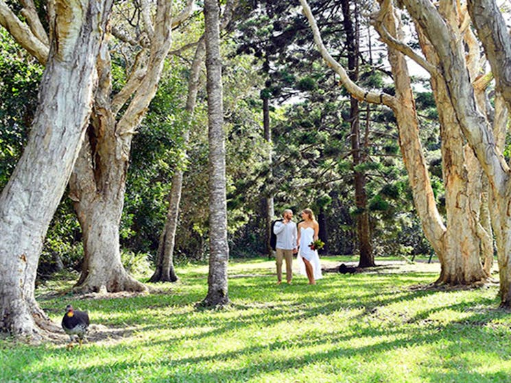 A couple walking through trees at Broken Head lawn in Broken Head Nature Reserve. Photo: Fiora Sacco