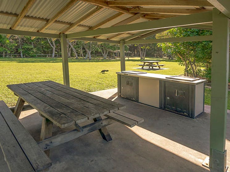 Picnic shelter with a picnic table and barbecue at Broken Head picnic area in Broken Head Nature
