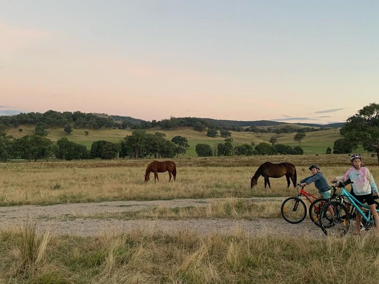 Brooklyn Springs Farm Escape