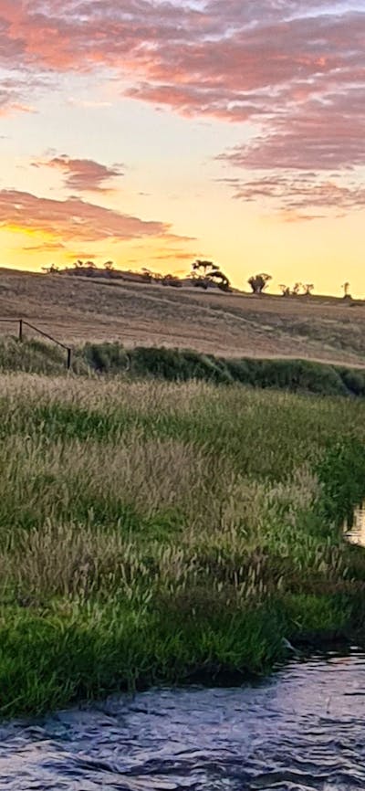 Brooklyn Springs Farm Escape