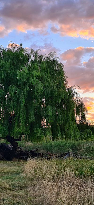 Brooklyn Springs Farm Escape