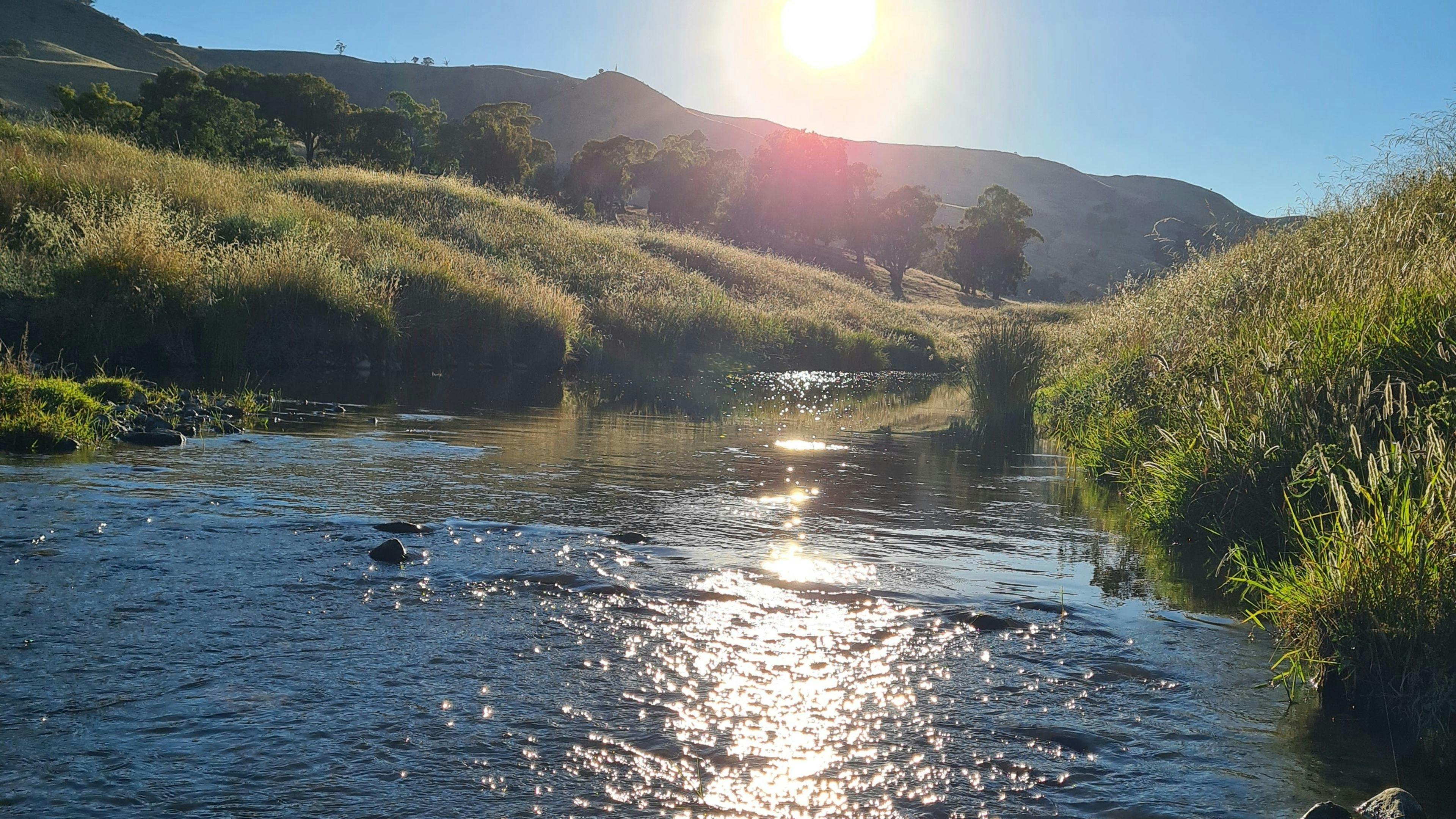 Brooklyn Springs Farm Escape