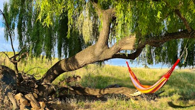 Brooklyn Springs Farm Escape