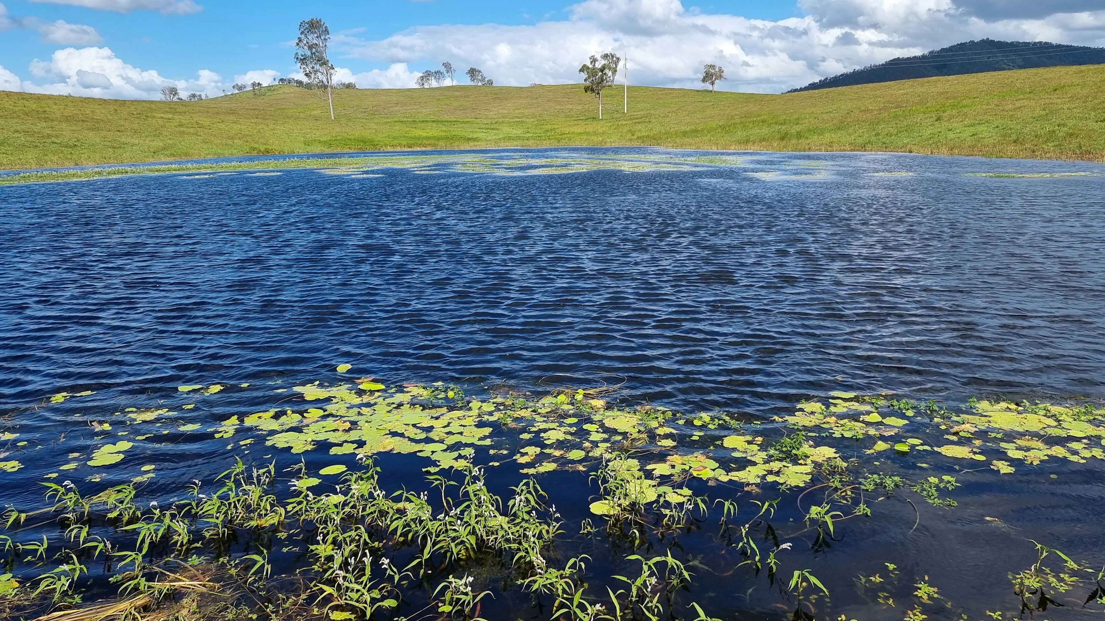Brooyar Eco Lodge and Caravan Park