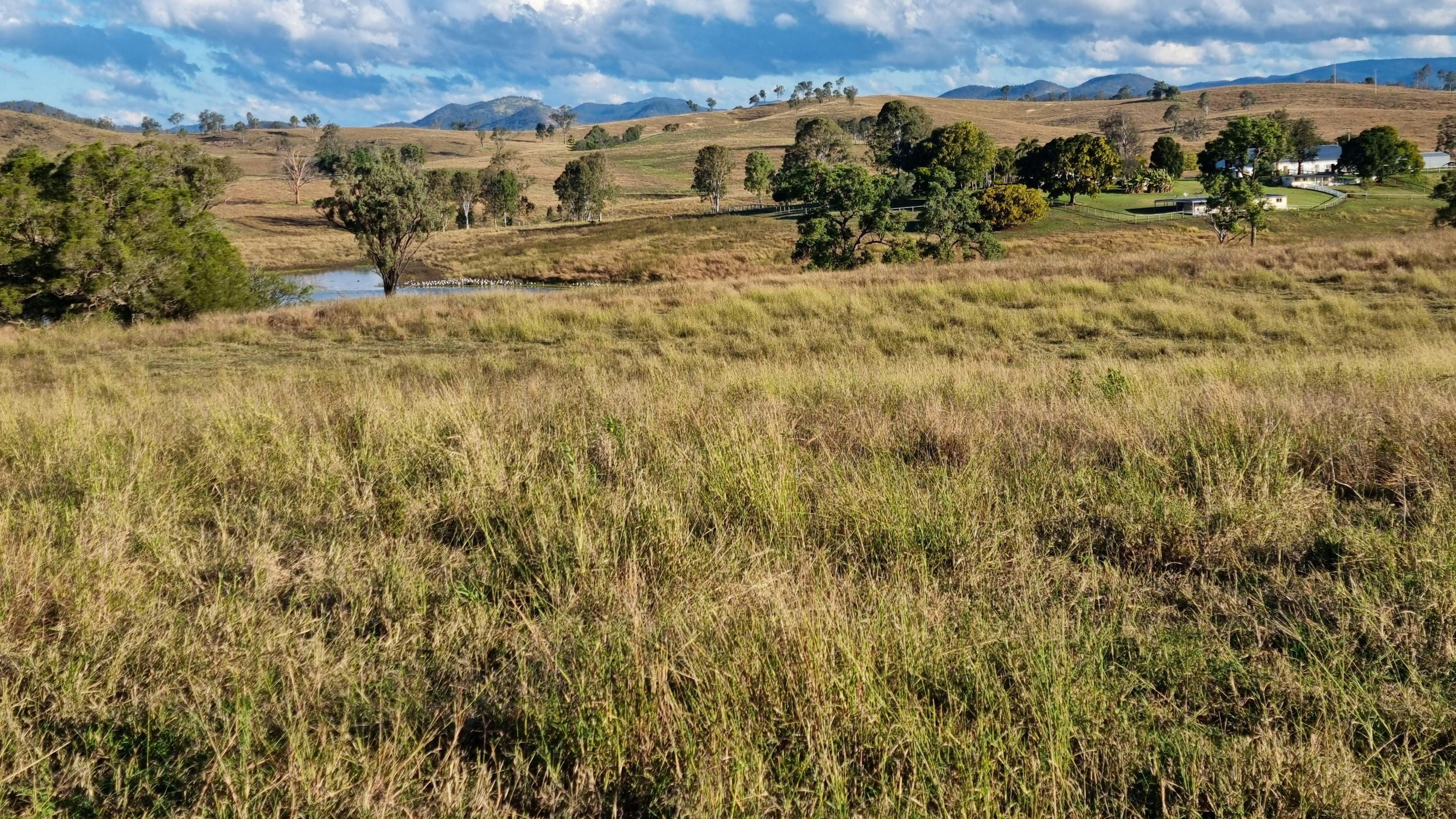 Brooyar Eco Lodge and Caravan Park