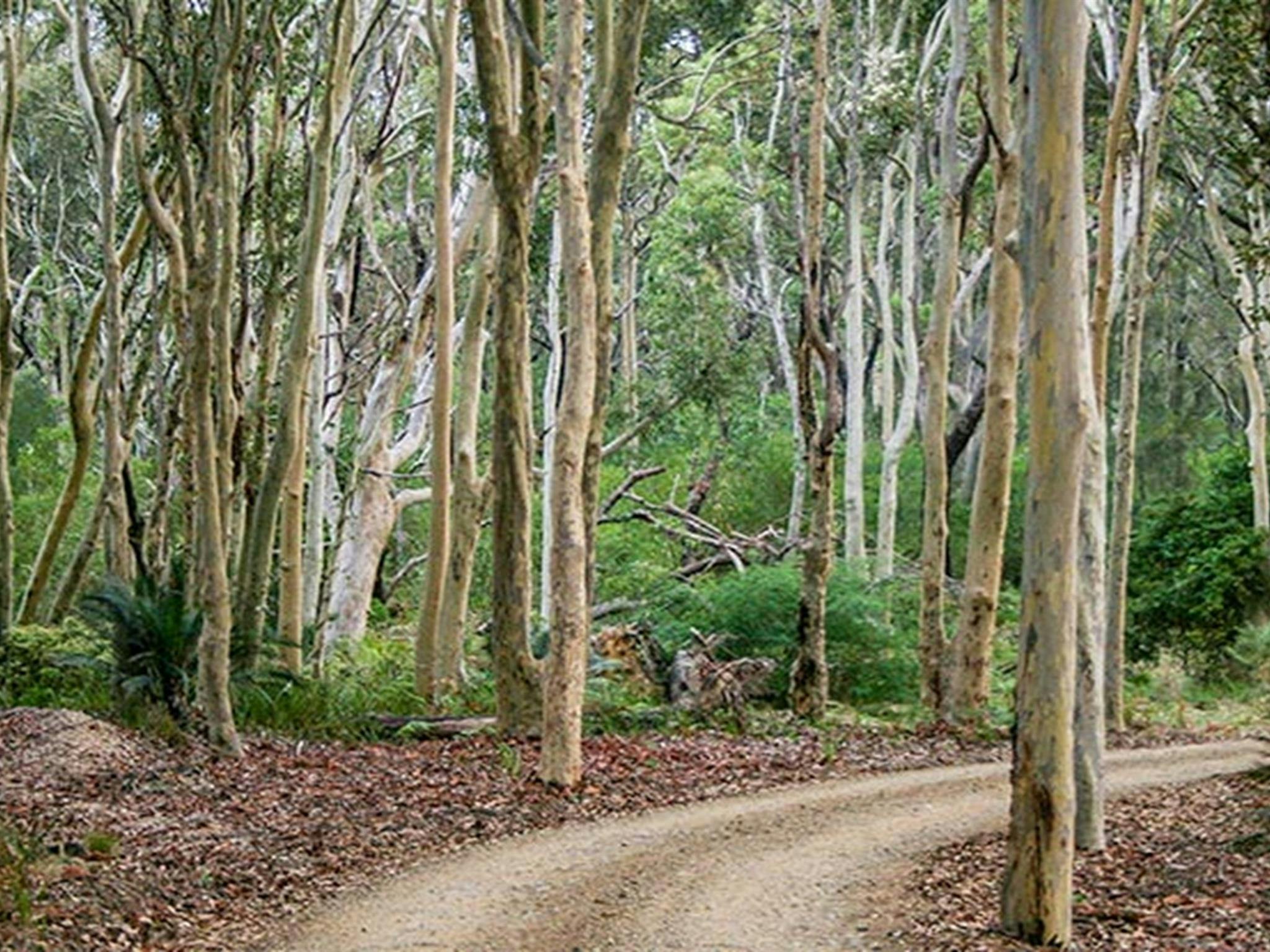 Don't mind a short walk to tent