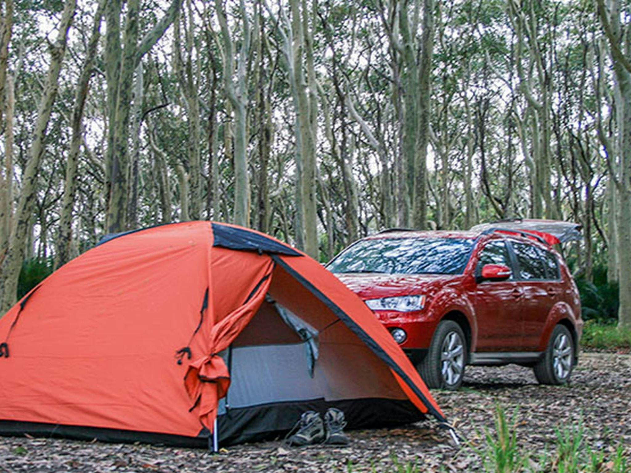 Camper van at Brou Lake campground. Photo: Dina Bullivant/NSW Government