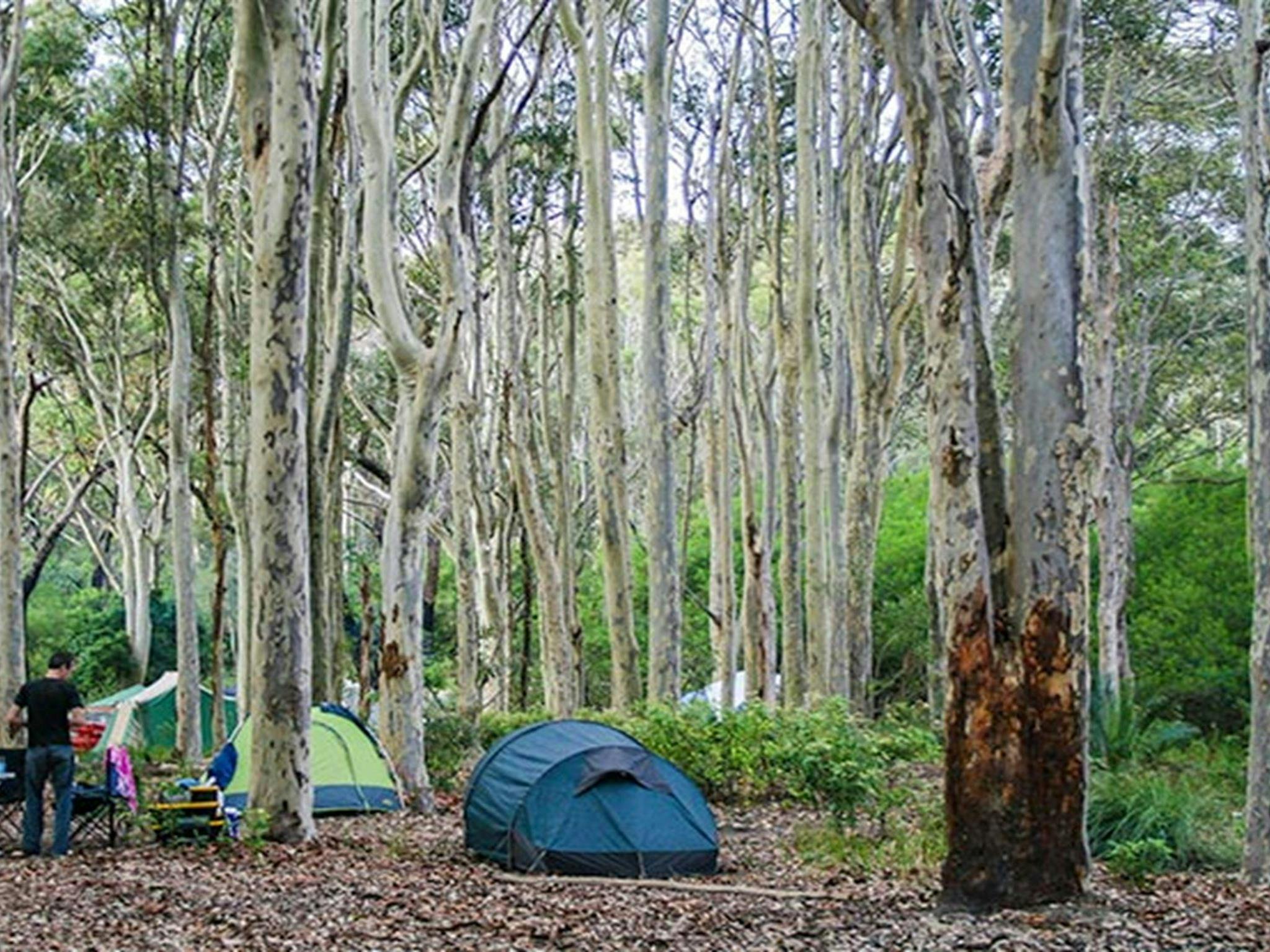 Hut in Brou Lake campground, Eurobodalla National Park. Photo: Dina Bullivant/NSW Government