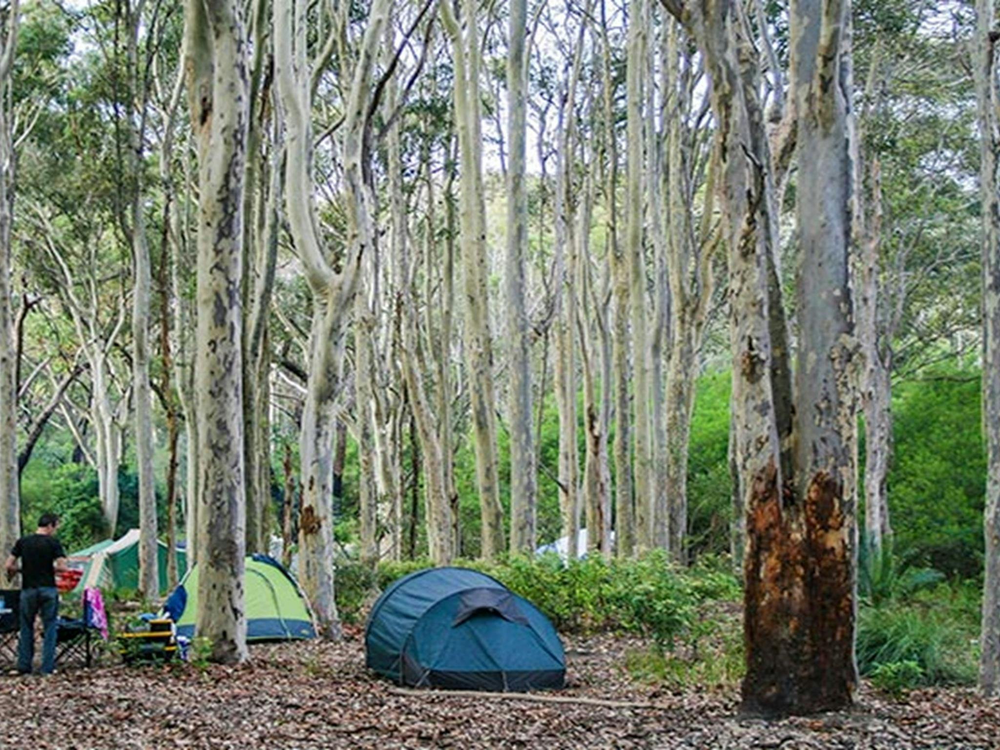 Hut in Brou Lake campground, Eurobodalla National Park. Photo: Dina Bullivant/NSW Government