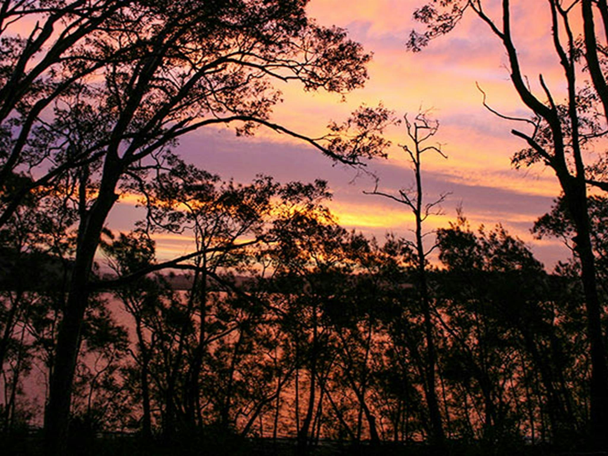 Sunset over Eurobodalla National Park. Photo: Dina Bullivant/NSW Government