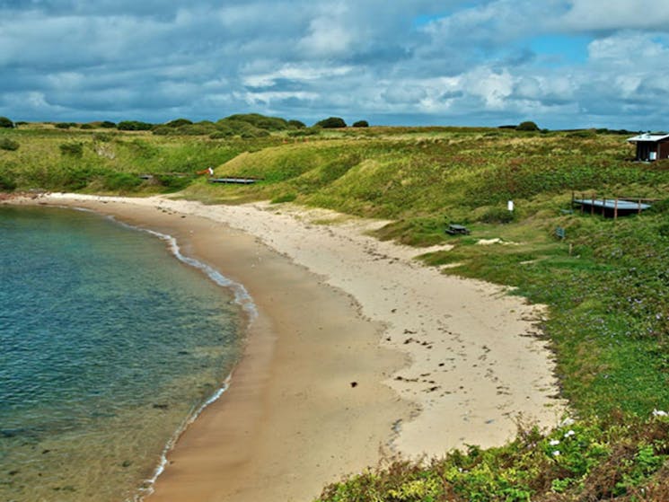 A beach with plant-covered sand dunes on Broughton Island, Myall Lakes National Park. Credit: John